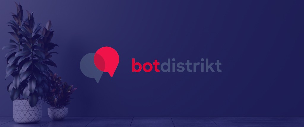 BotDistrikt Creating a Successful Digital Business from the Ground Up