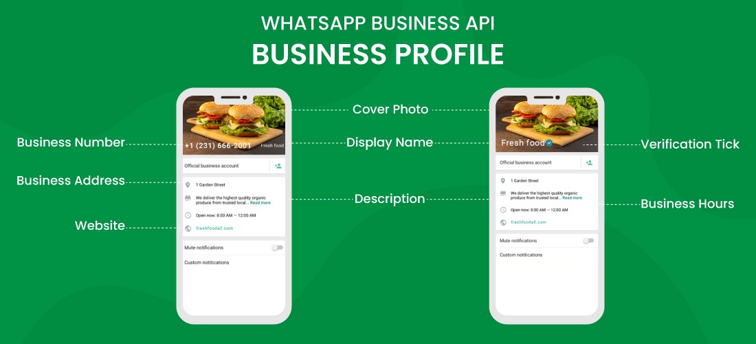 WhatsApp API Guide: Way To Master WhatsApp Business API