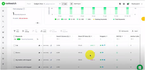 rankwatch dashboard 2