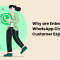 Why Are Enterprises Using WhatsApp Chatbots For Customer Experience? 