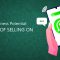 Unlocking Business Potential: The Power of Selling on WhatsApp